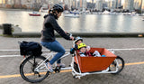 CETMA Cargo bike